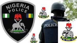 Police Investigate Alleged Sexual Assault on Three-Year-Old Girl in Ogun State