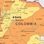 34 Killed in Colombia’s Yellow Fever Outbreak, Government Declares Emergency 