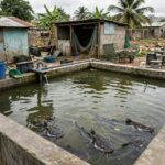 Family Raises Health and Rights Concerns Amid Police Custody in Sagamu. 